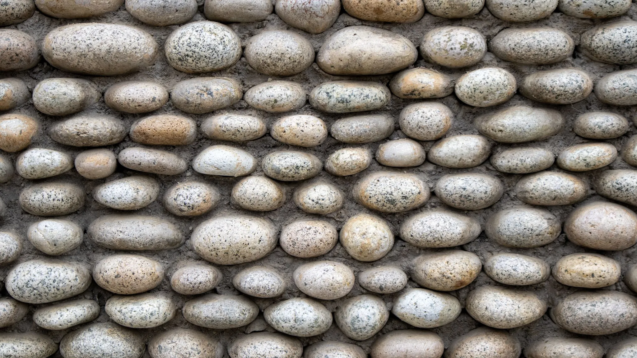 Een dichte wand van kleine ronde kiezels die strak tegen elkaar liggen, met één opening ertussen.